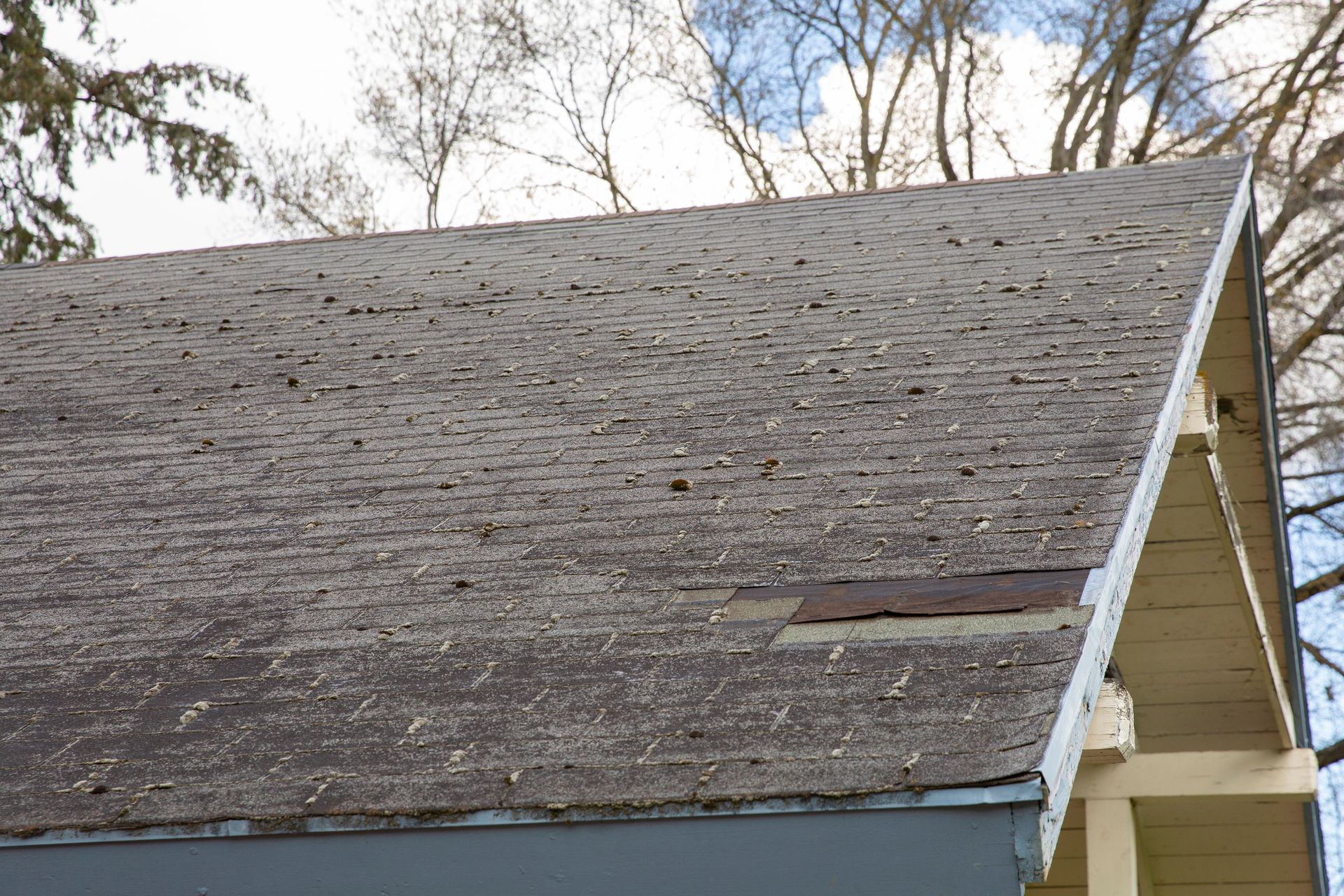Unkept roof with moss.