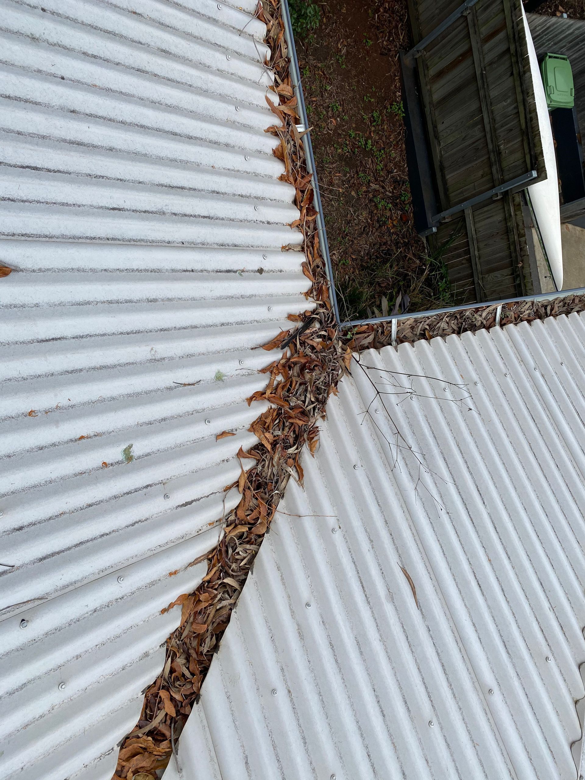 White corrugated metal roof with leaves in the gutter.