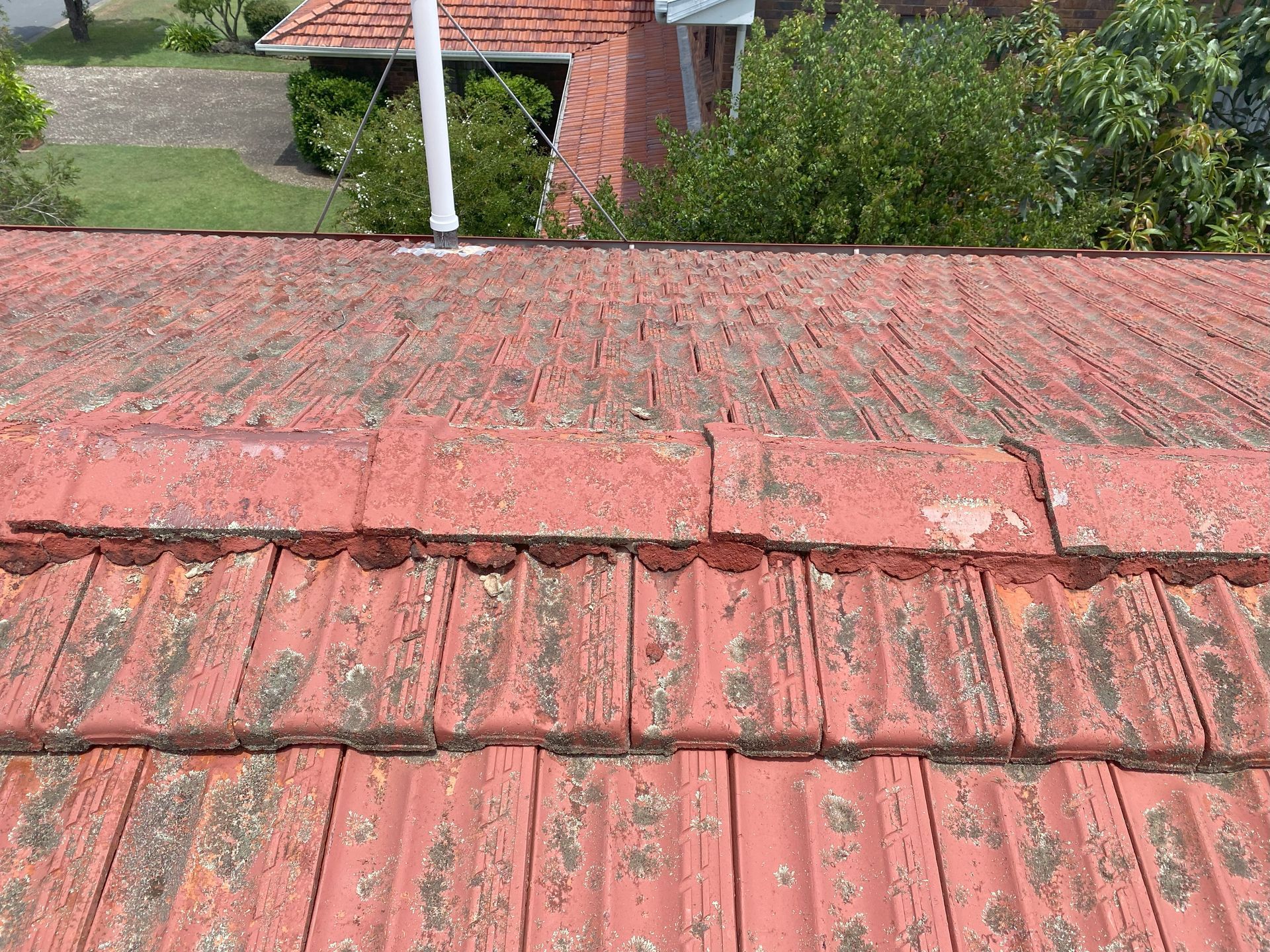 Red tiled roof covered in algae and moss; close-up view.