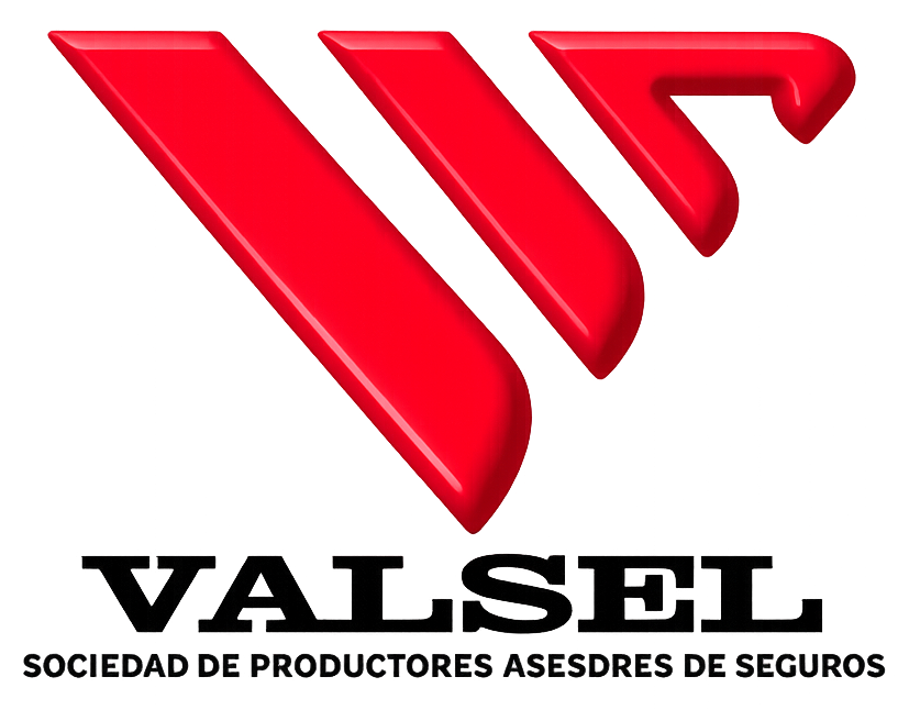Red stylized V logo above black text “VALSEL” and “Sociedad de Productores Asesores de Seguros”