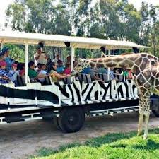 ZOOLOGICO DE GUADALAJARA