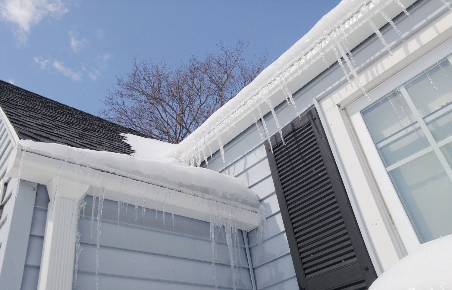 Snow and icicles on the roof of a blue house, clear blue sky, bare tree branches.