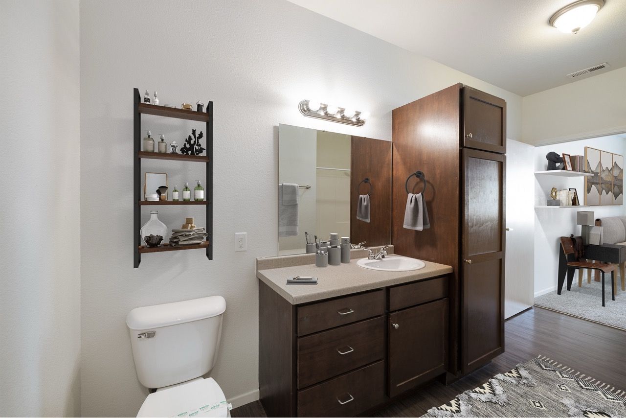 Bathroom vanity area with sink, mirror, and storage cabinet in an apartment.