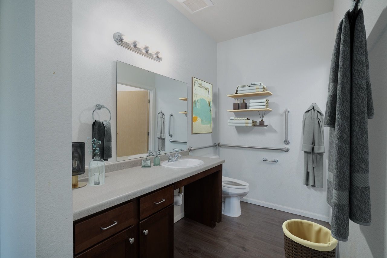 Bathroom with vanity, mirror, toilet, grab bars, and towel shelves.