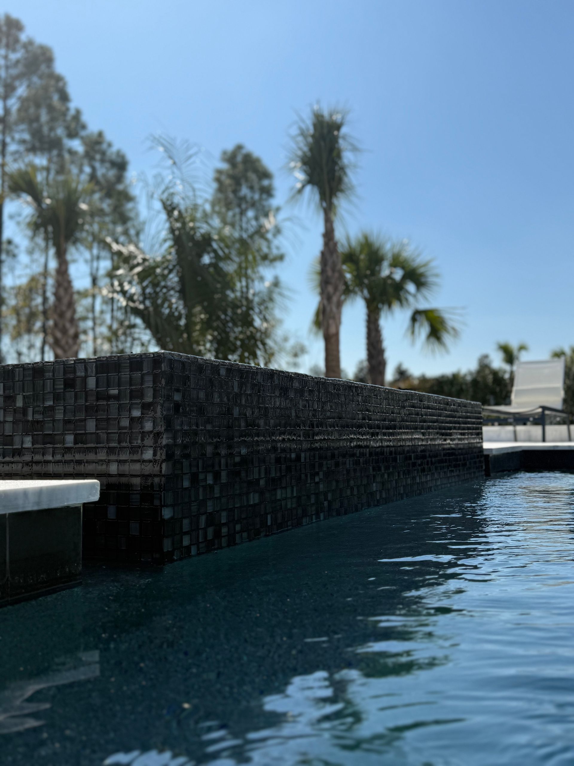 Pool with dark tiled wall, palm trees in the background, sunny day.
