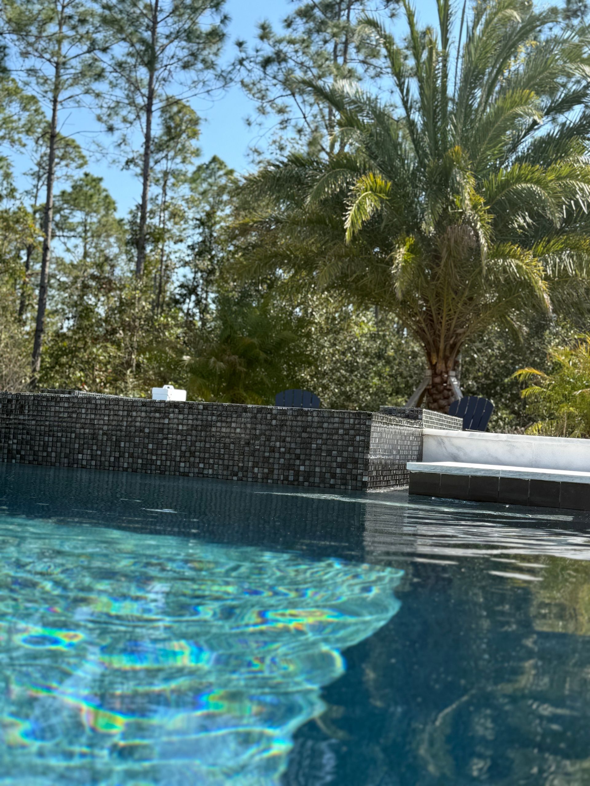 Pool with shimmering blue water, dark stone wall, palm tree, and forest in background.