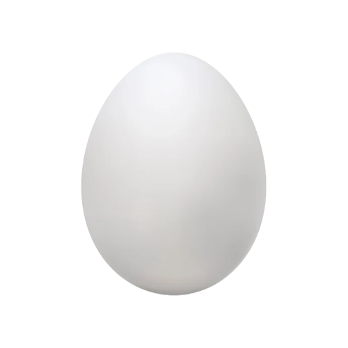 White egg against a white background.