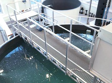 Recirculating aquaculture systems (RAS systems)