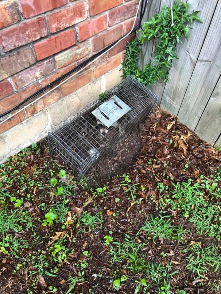 Woman in straw hat smiles, holding wine glass near a lake.
