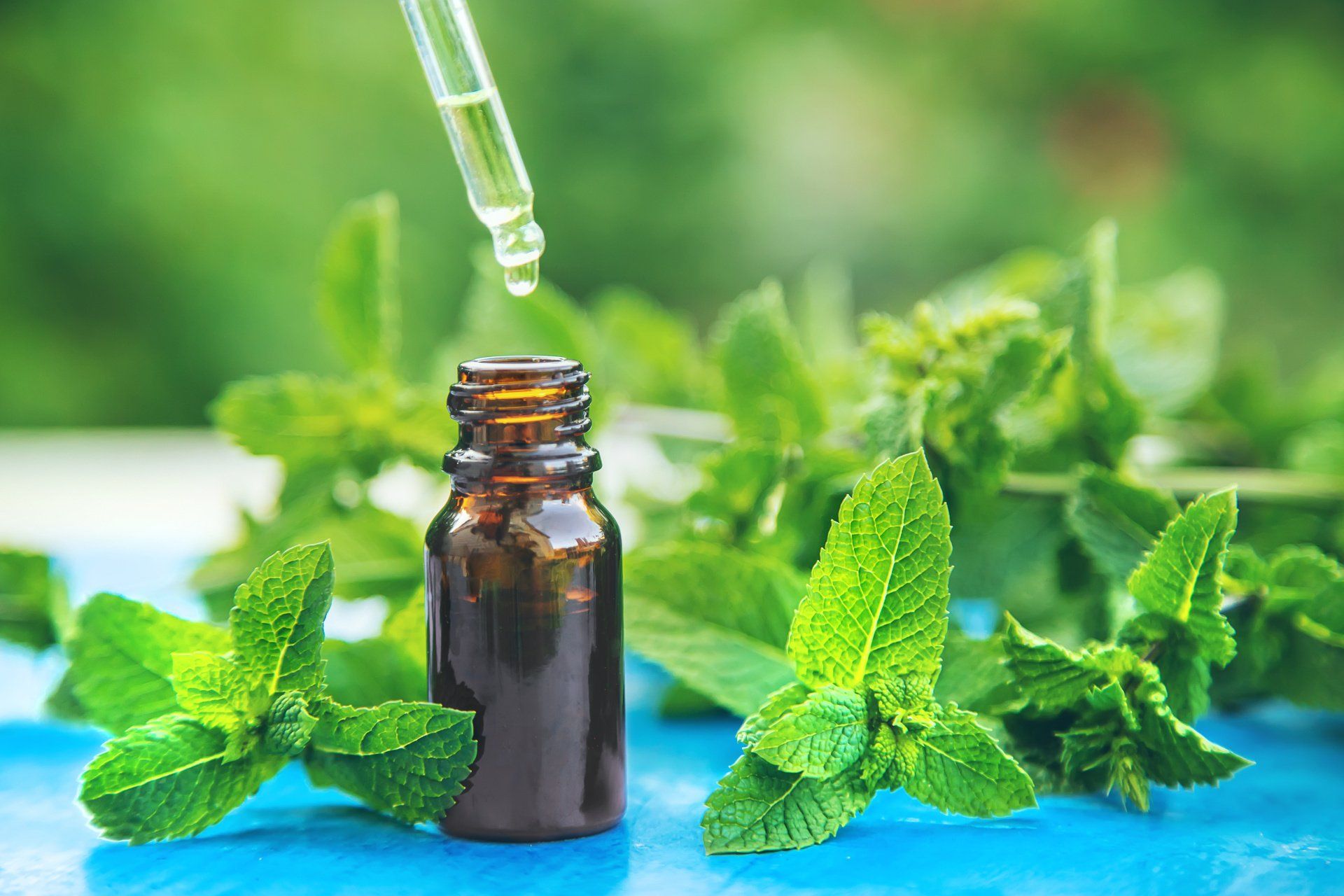 peppermint - an effective essential oil