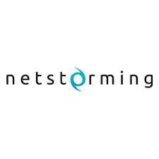 netstorming