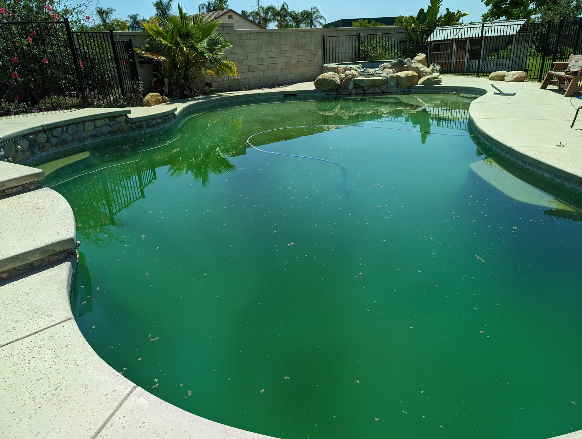 Dirty Bakersfield Pool Before Pool Cleaning Photo