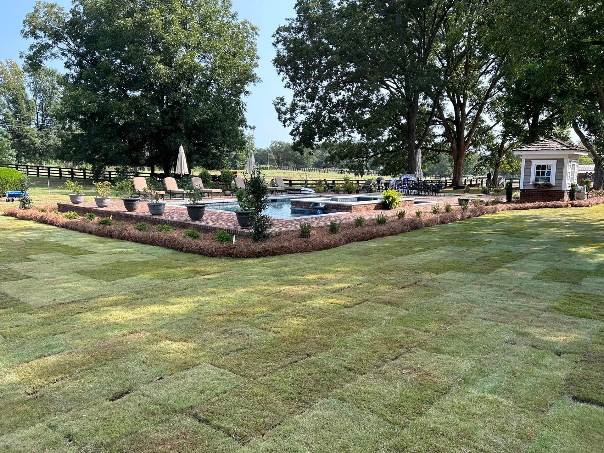 Lush backyard with a pool. Freshly laid sod in foreground, pool with landscaping, trees, and small cabana.