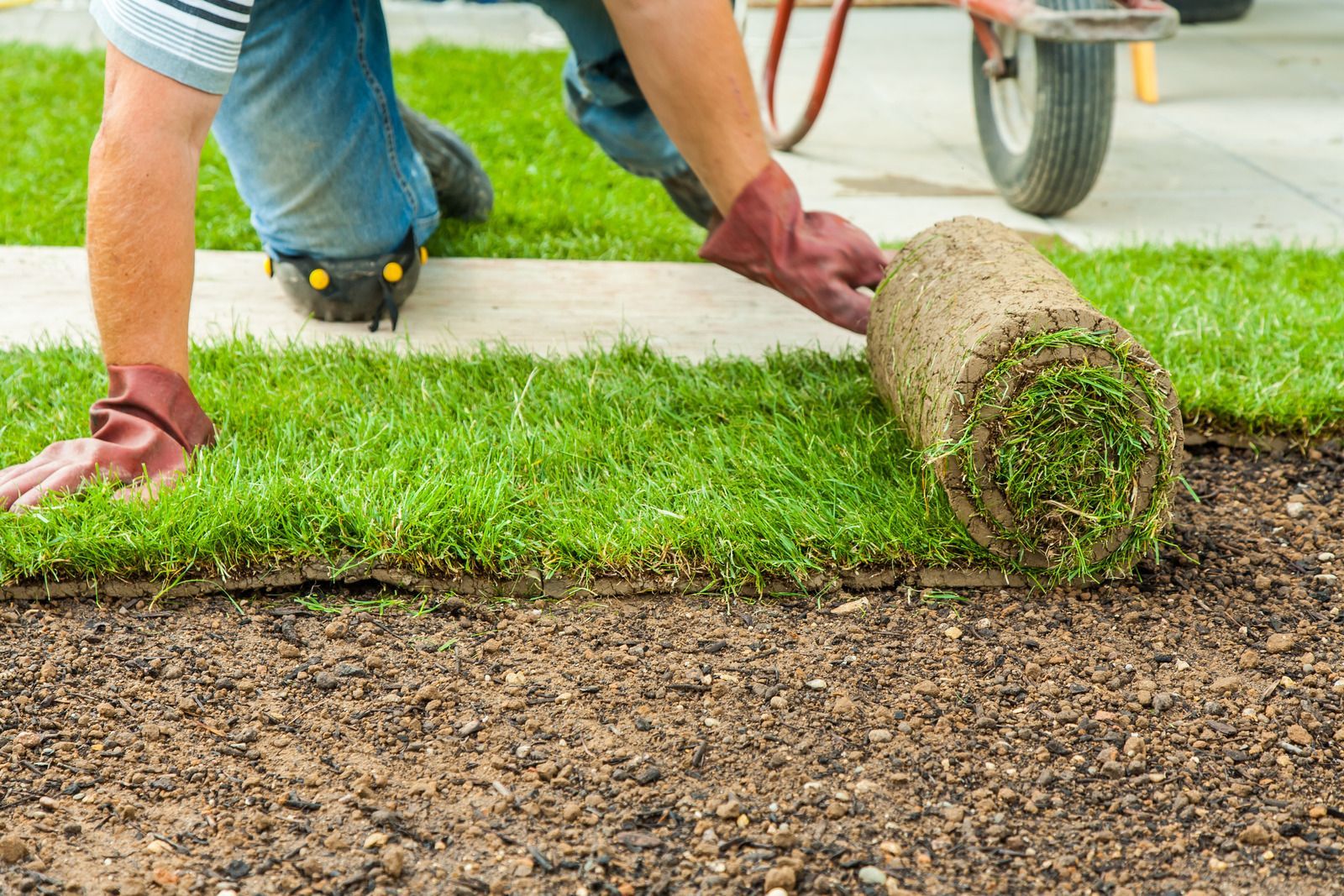 A man is rolling a roll of grass on the ground.