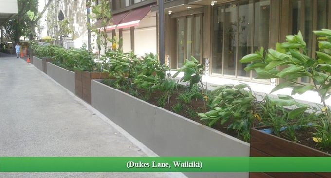 Dukes Lane, Waikiki