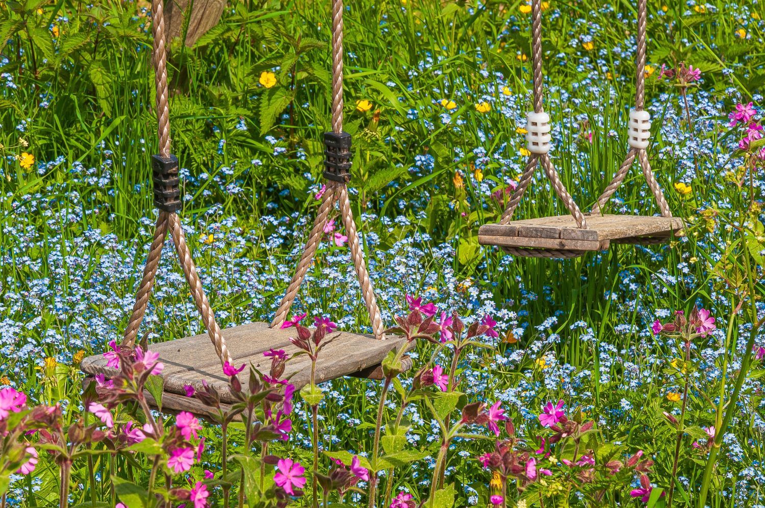 Swings in summer garden