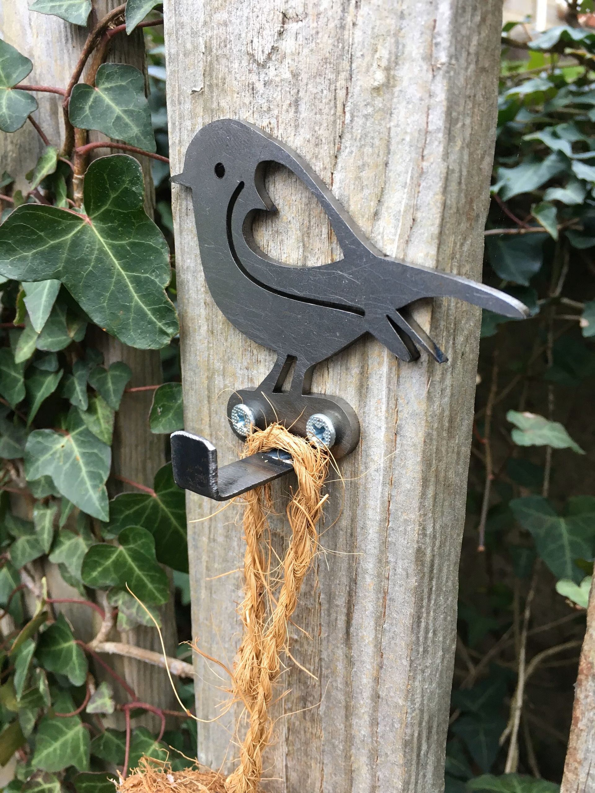 Robin bird feeder hook