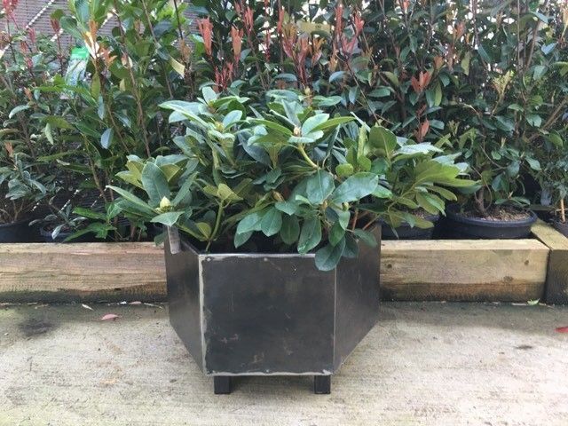 Steel garden planter