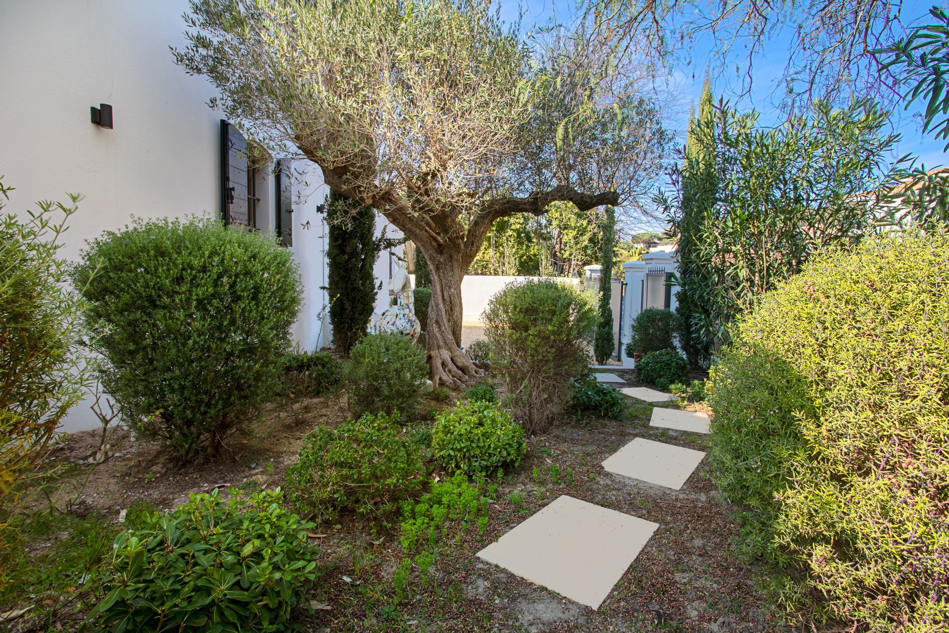 Un chemin de pierre traverse un jardin d'arbustes taillés et d'un olivier, sous un ciel lumineux.