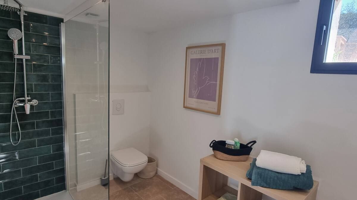 Salle de bain avec douche carrelée verte, murs blancs, toilettes, œuvres d'art et serviettes sur une étagère.