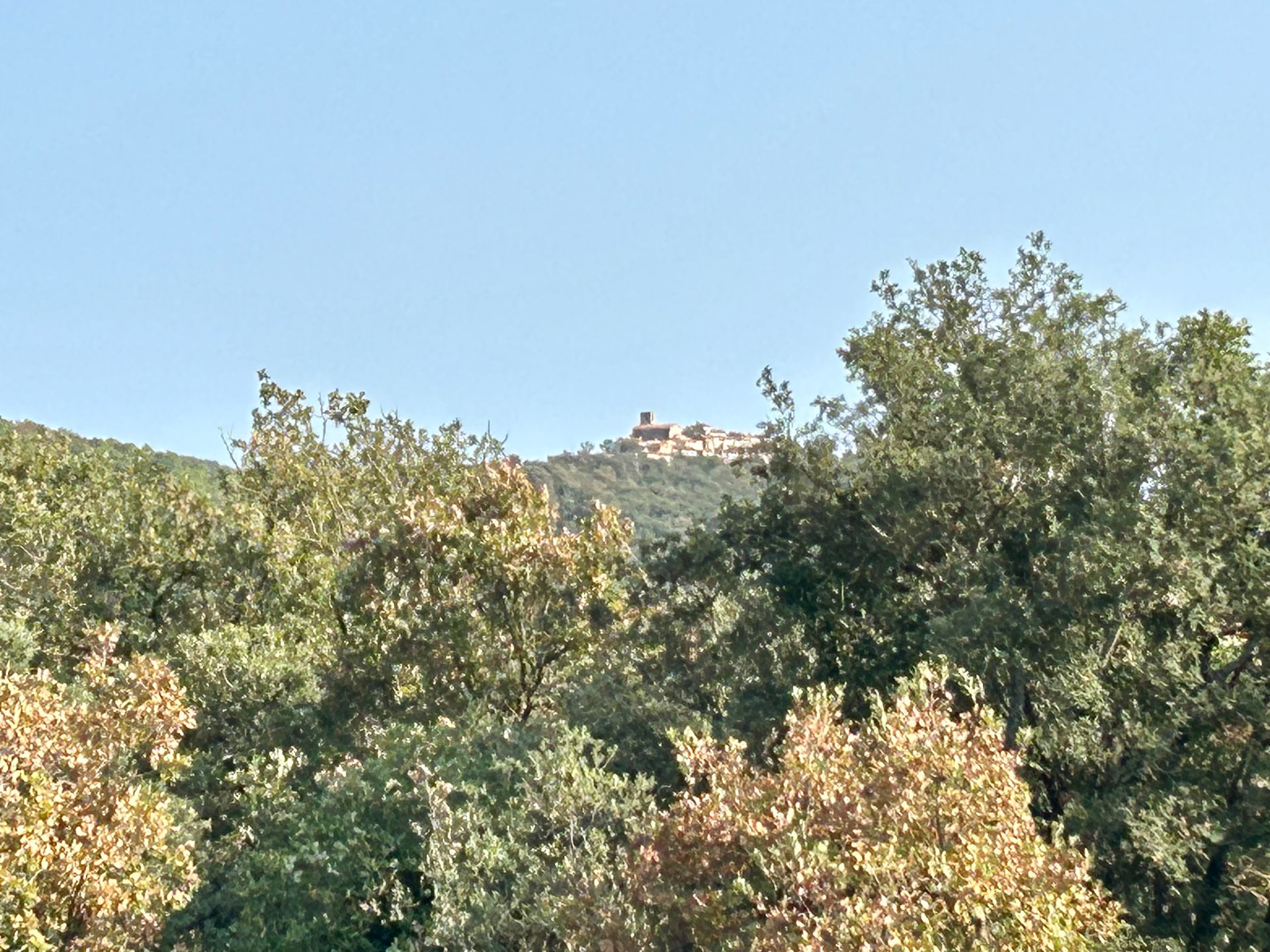 Des arbres au premier plan, un village perché au loin sous un ciel bleu clair.