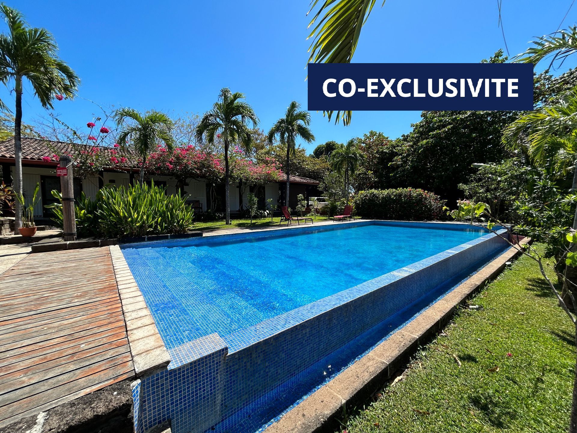 Piscine dans un cadre tropical avec palmiers et un bâtiment en arrière-plan. Carrelage bleu, ciel bleu.