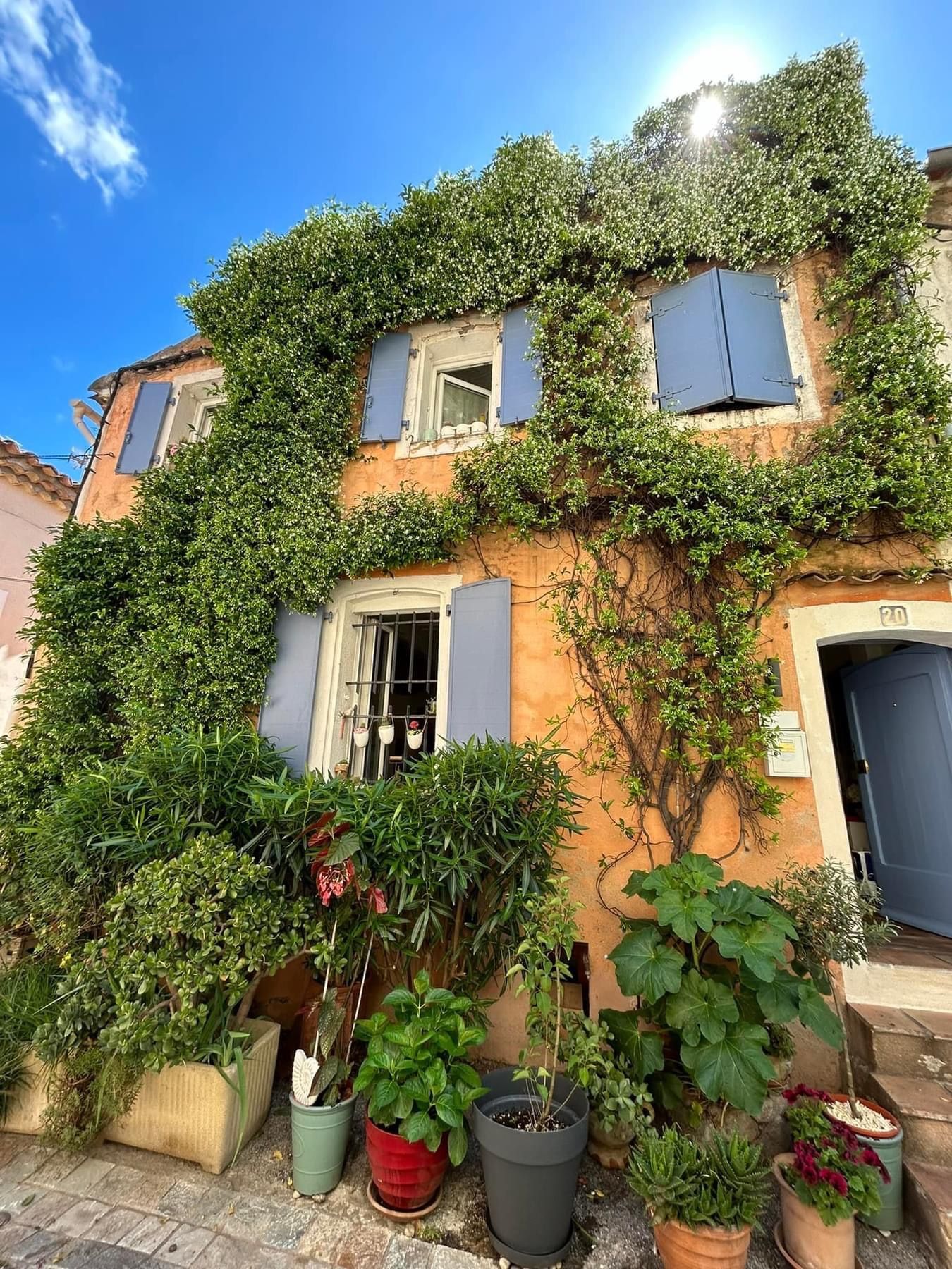 Maison couleur pêche recouverte de lierre avec des volets bleus, entourée de plantes en pot, contre un ciel bleu vif.
