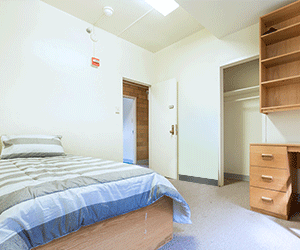 A bedroom with a bed , desk , closet and shelves.