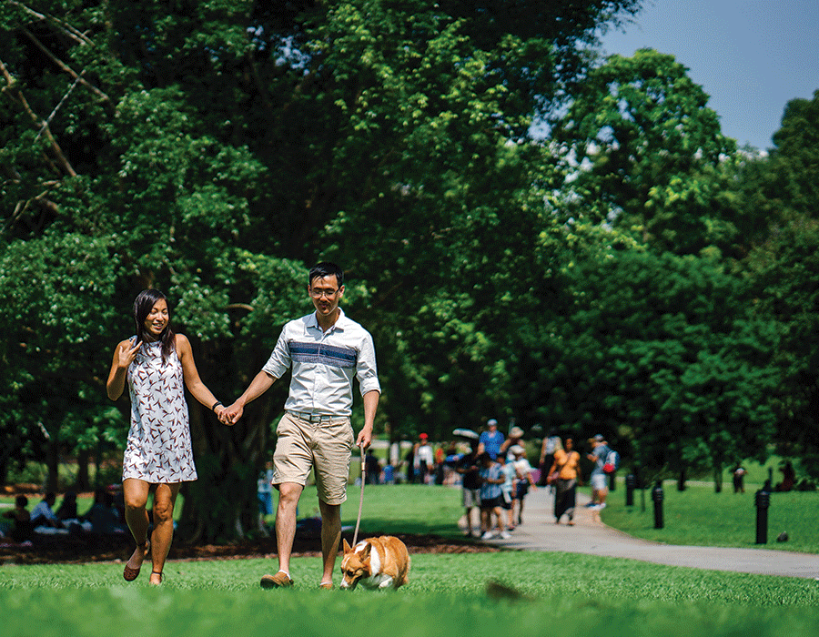 A man and a woman are walking a dog in a park.