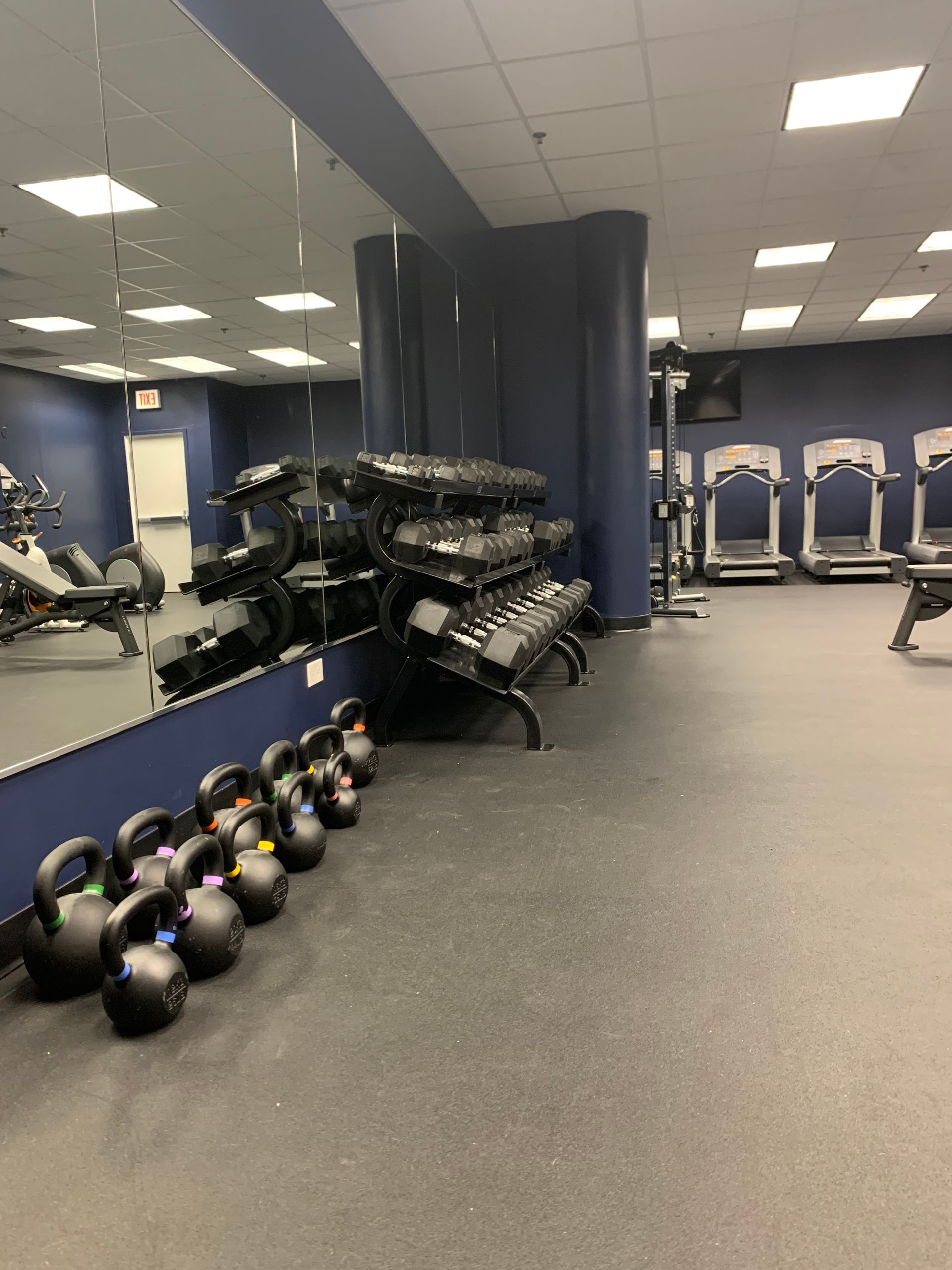 A gym with a lot of dumbbells and treadmills.