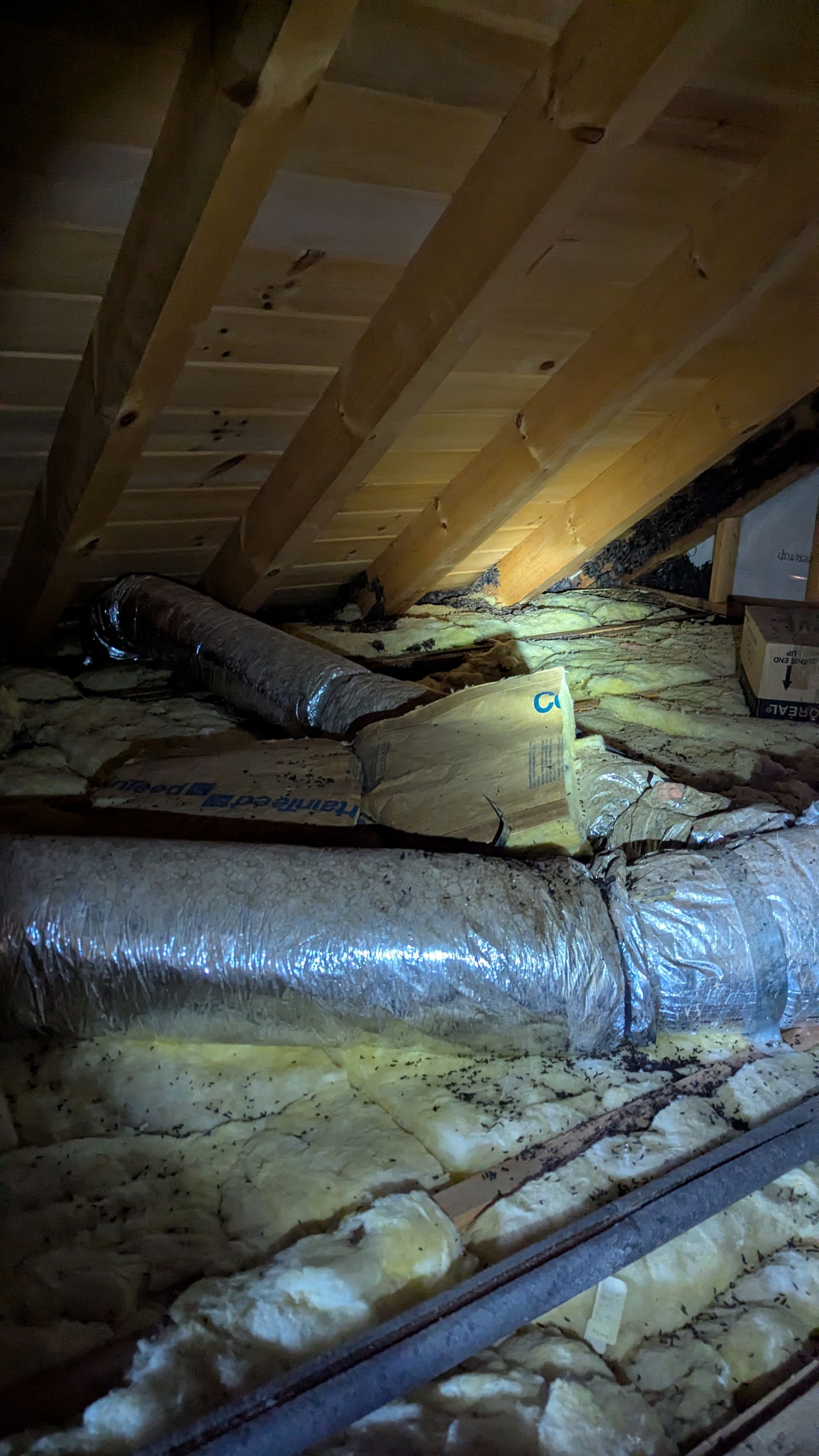 Attic with air ducts, insulation, and wooden beams. Dim lighting suggests interior space.
