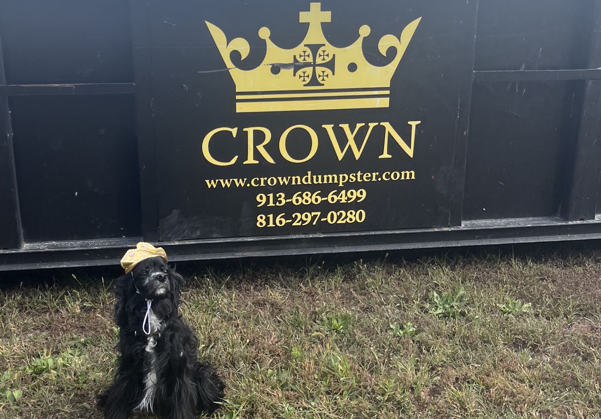 Dog wearing a crown sits in front of a dumpster with 