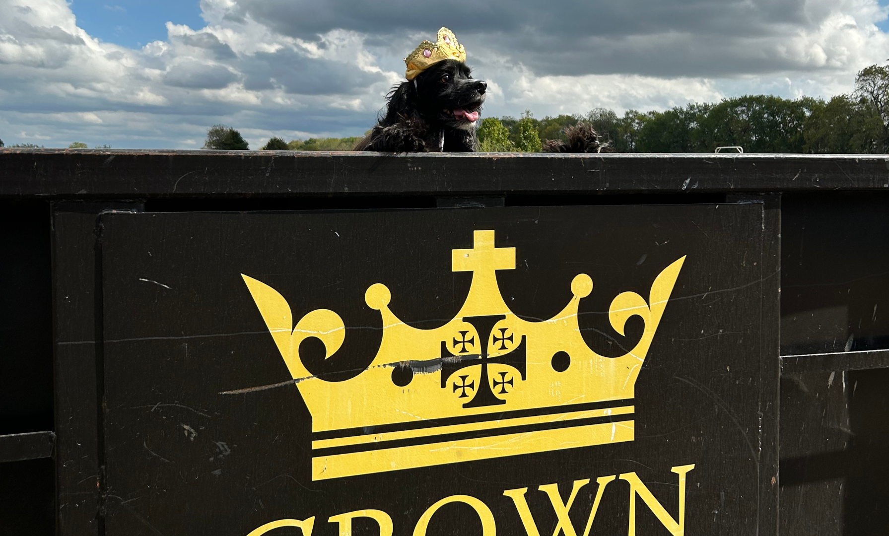 Black dog wearing a gold crown atop a black sign with a gold crown logo. Cloudy sky in background.