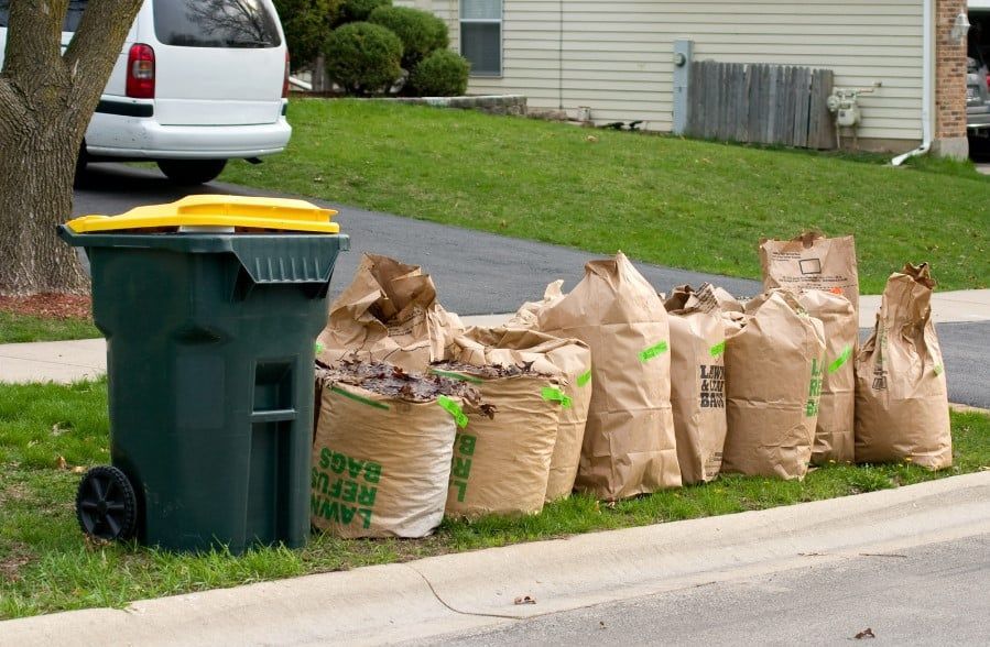 Green trash bin and several paper leaf bags at curb.