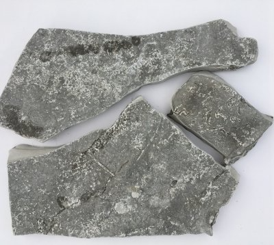 Szare fragmenty kamienia na białej powierzchni, prawdopodobnie części zwietrzałego artefaktu.