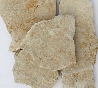 Jasne, nieregularne kamienne płyty o lekko szorstkiej powierzchni.