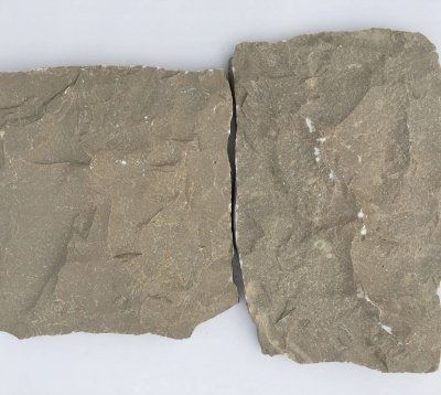 Dwie nieregularne, szarobrązowe płytki kamienne na białej powierzchni.