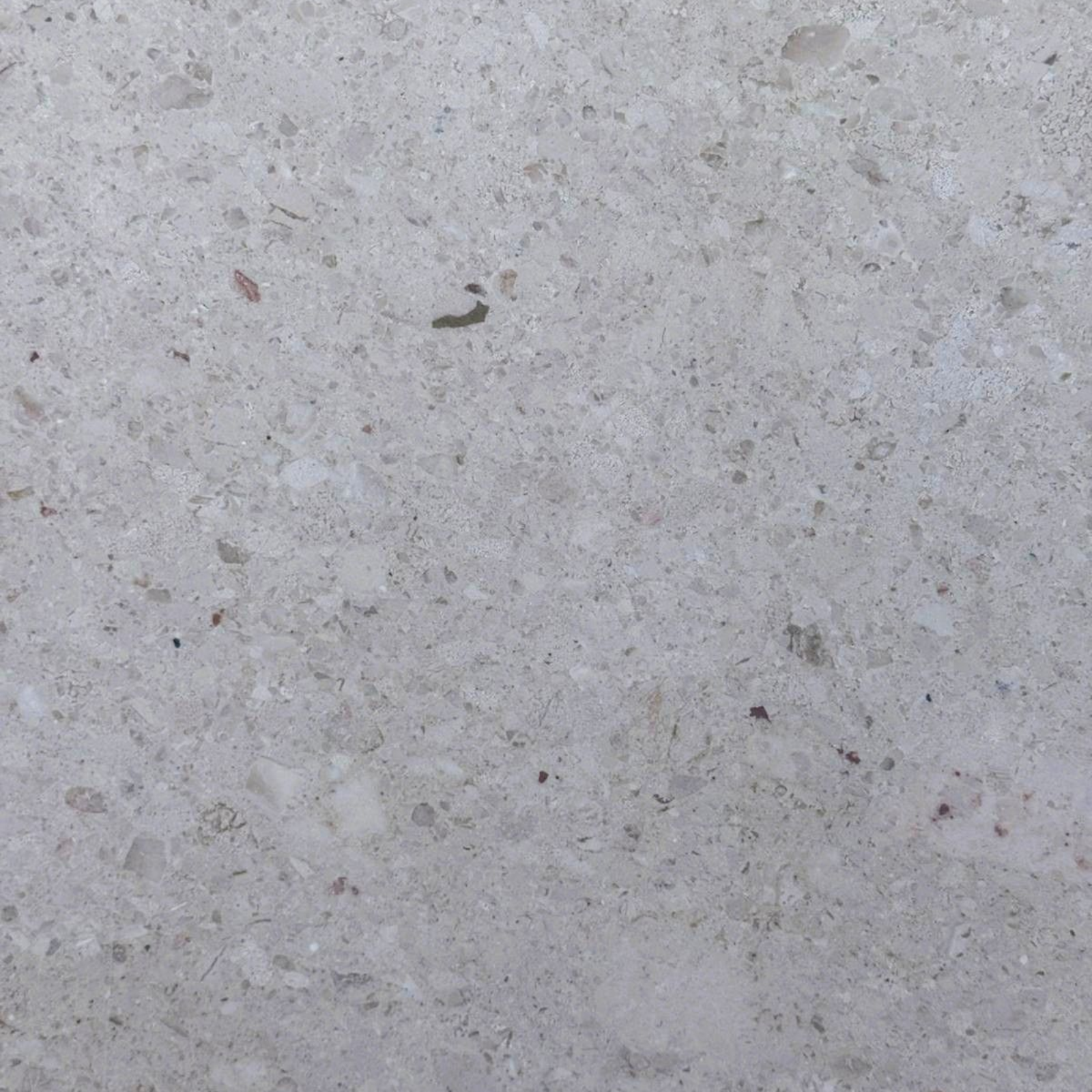 Jasnoszara powierzchnia kamienia z kropkowanym wzorem.