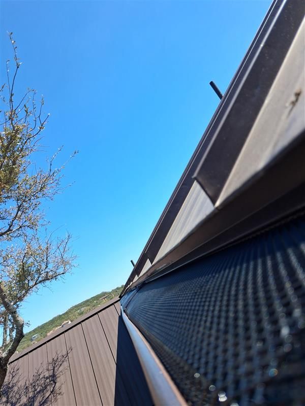 Close-up of a house roof and gutter with blue sky and a tree in the background