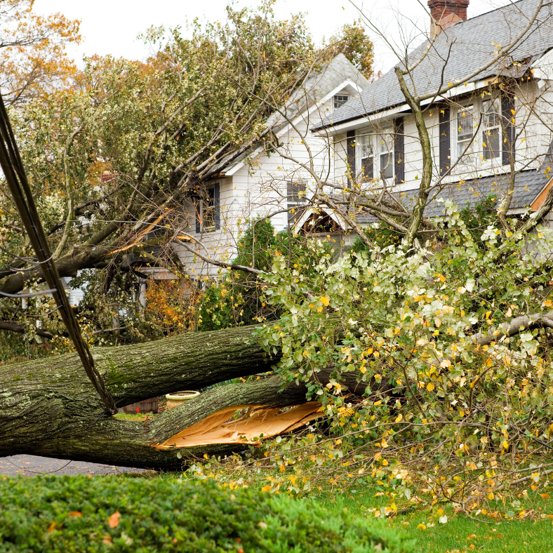 Don't let a damaged home hold you back. We buy houses with all types of damage, from minor repairs to major renovations.