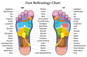 Foot Reflexology Chart — Strongsville, OH — Strongsville Massage Therapy