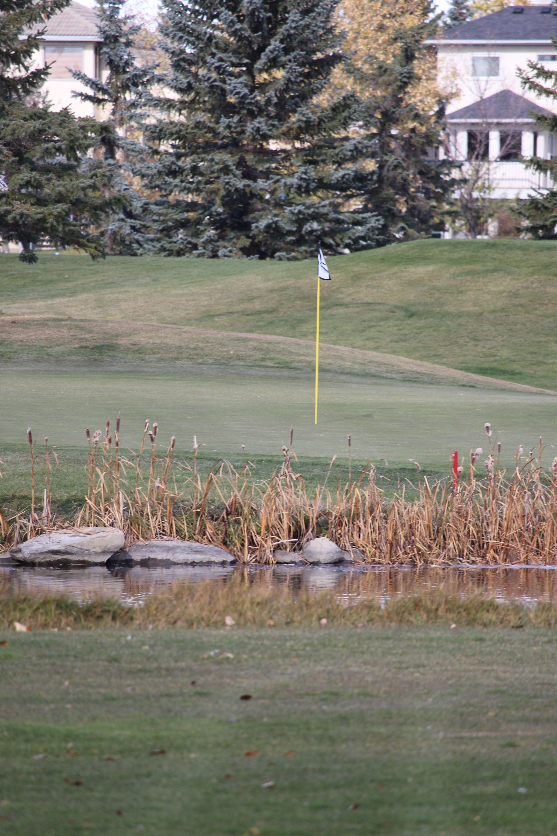 Golf course green with water feature and flag; houses and trees in background.