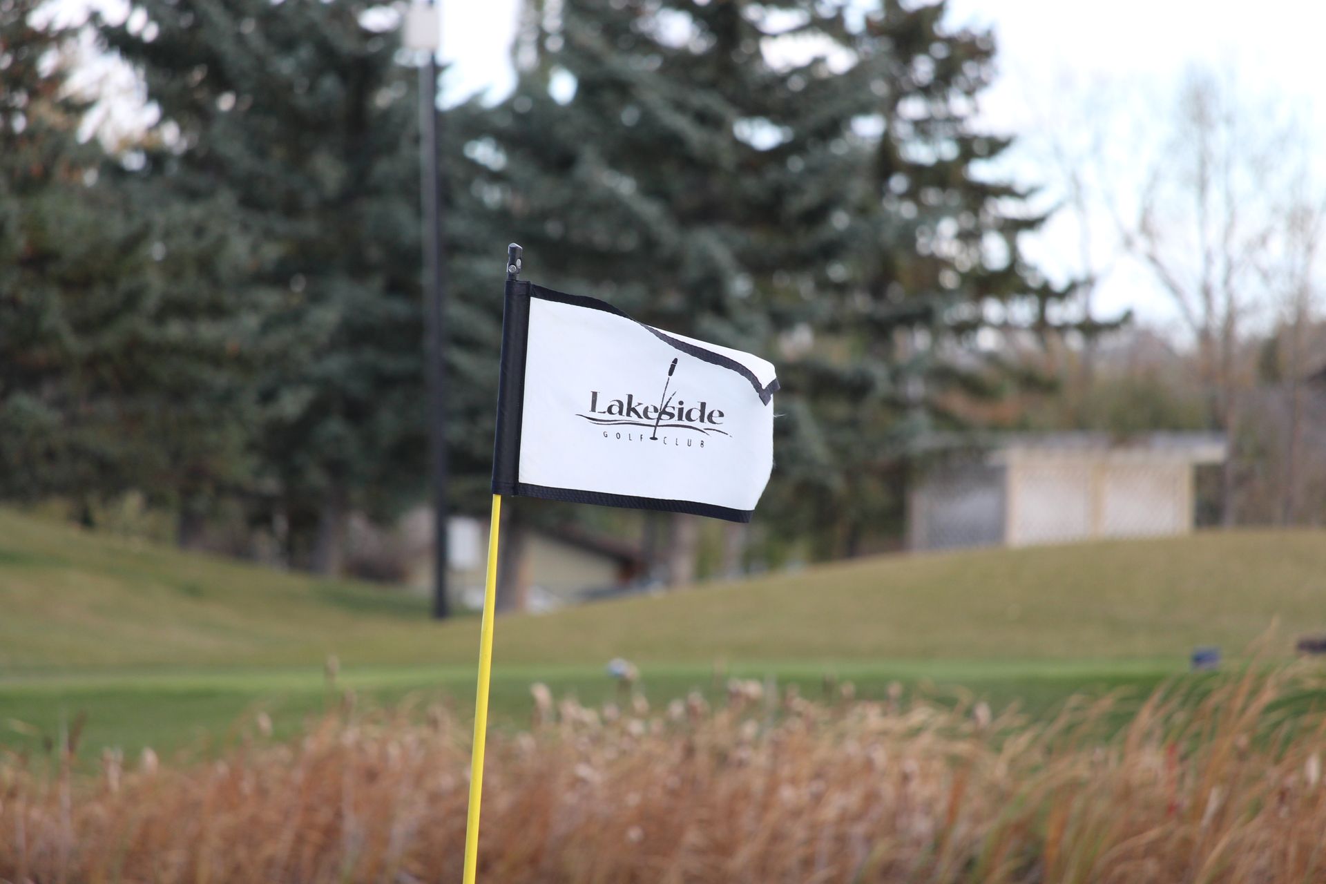 Golf flag on a green, showing the Lakeview logo. Brown grass in foreground, trees in the background.
