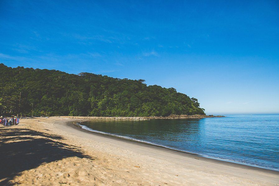 Uma praia com árvores na costa e um corpo de água.