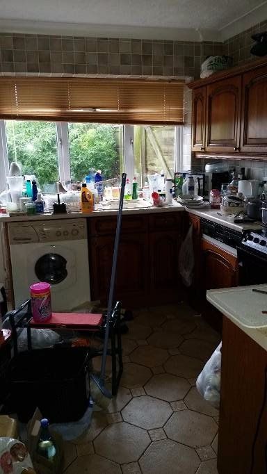 kitchen cleaning