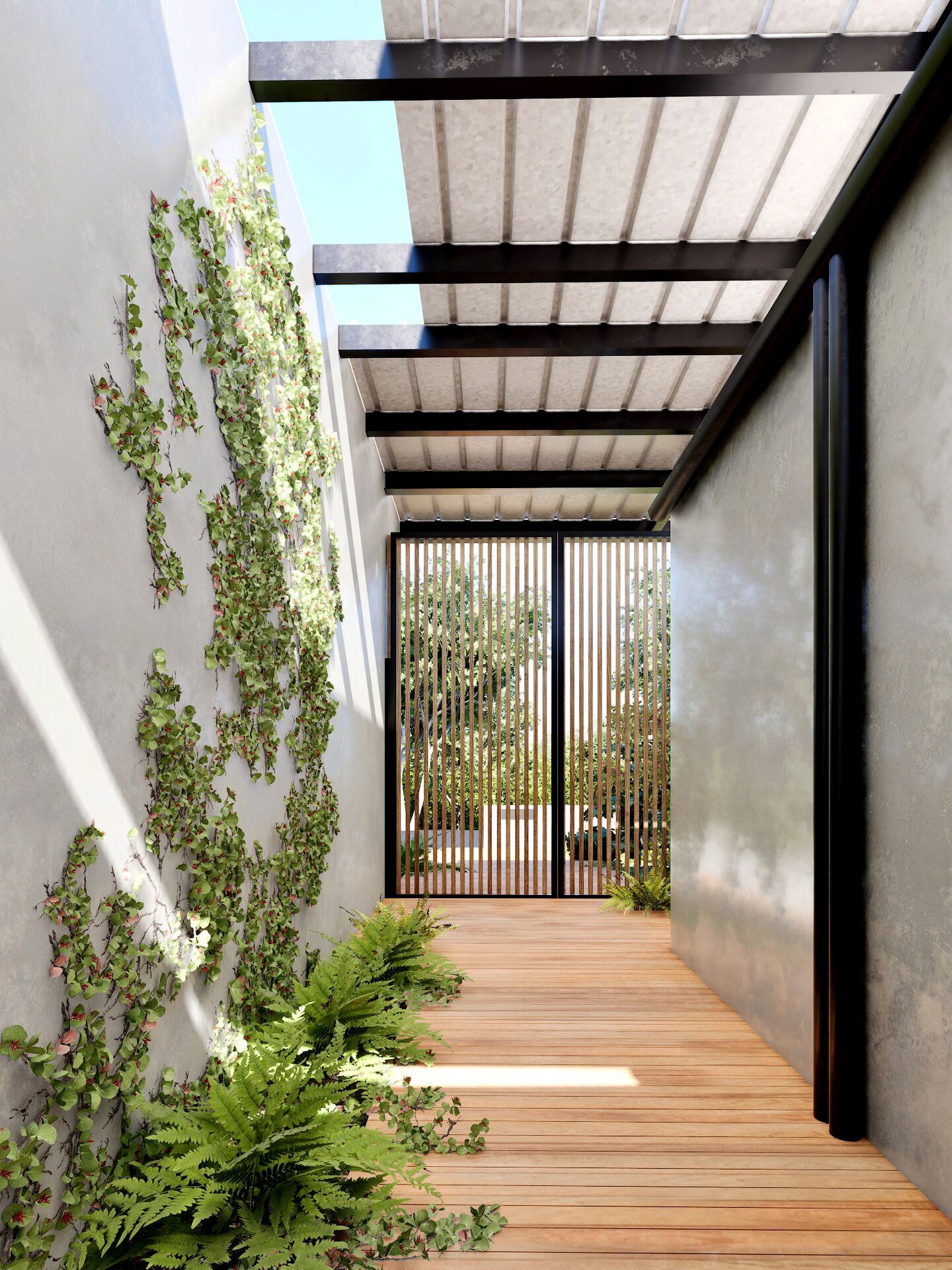 A wooden walkway with climbing ivy on a grey wall leads to a slatted metal gate under a modern pergola.