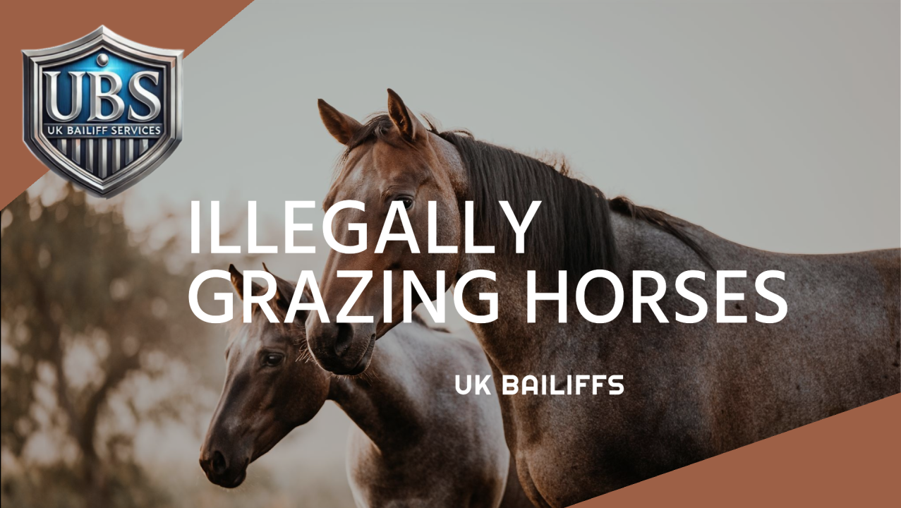 illegal horses