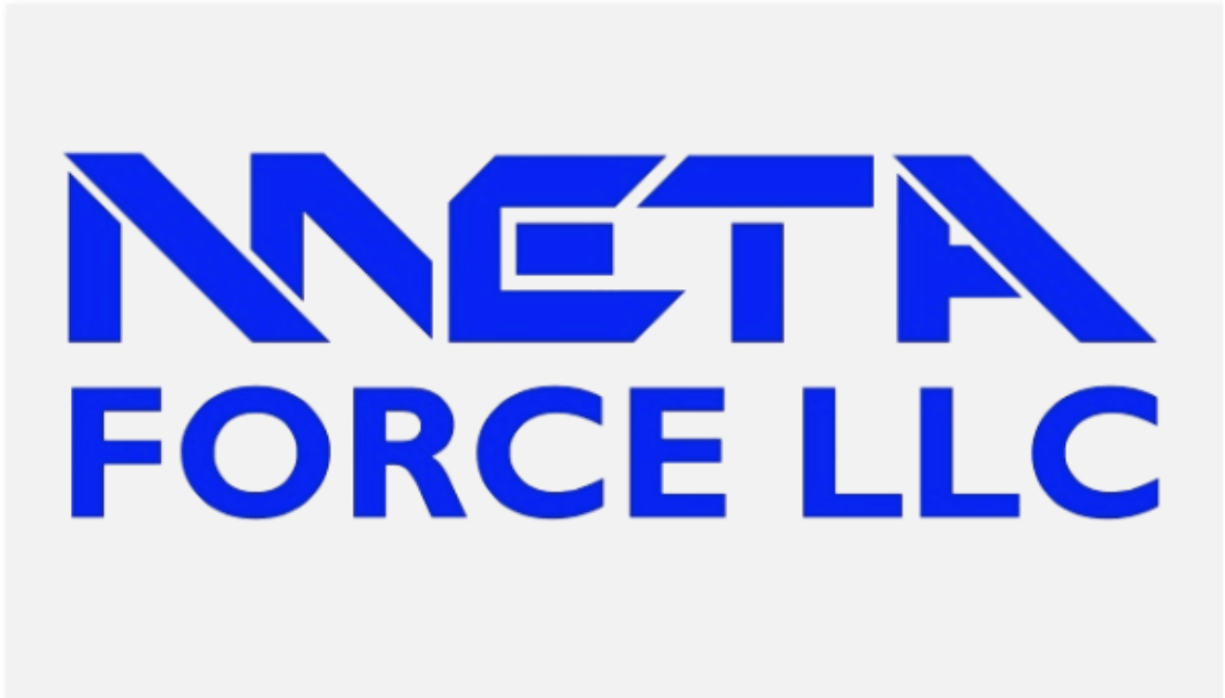 Meta Force - Custom Websites - Google Advertising - Washington - DC