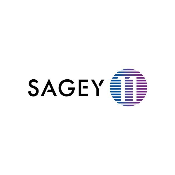 Logo Design for IT Consultant
