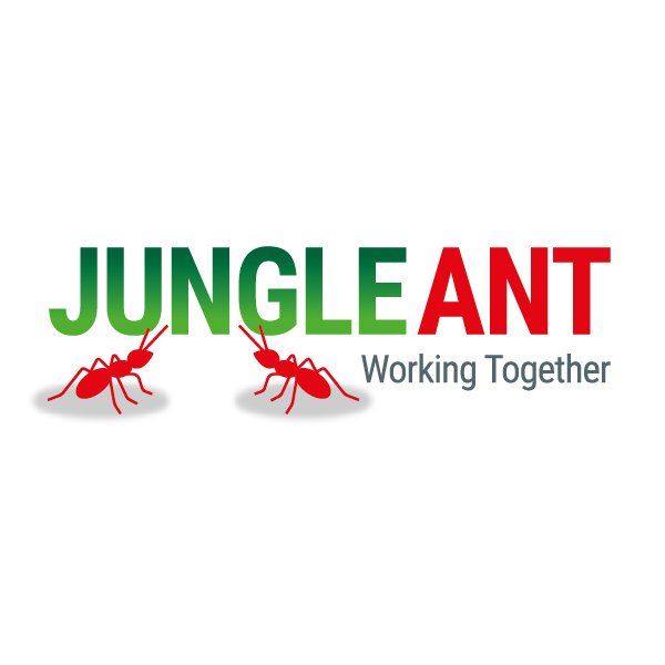 Logo Design for Software Developer